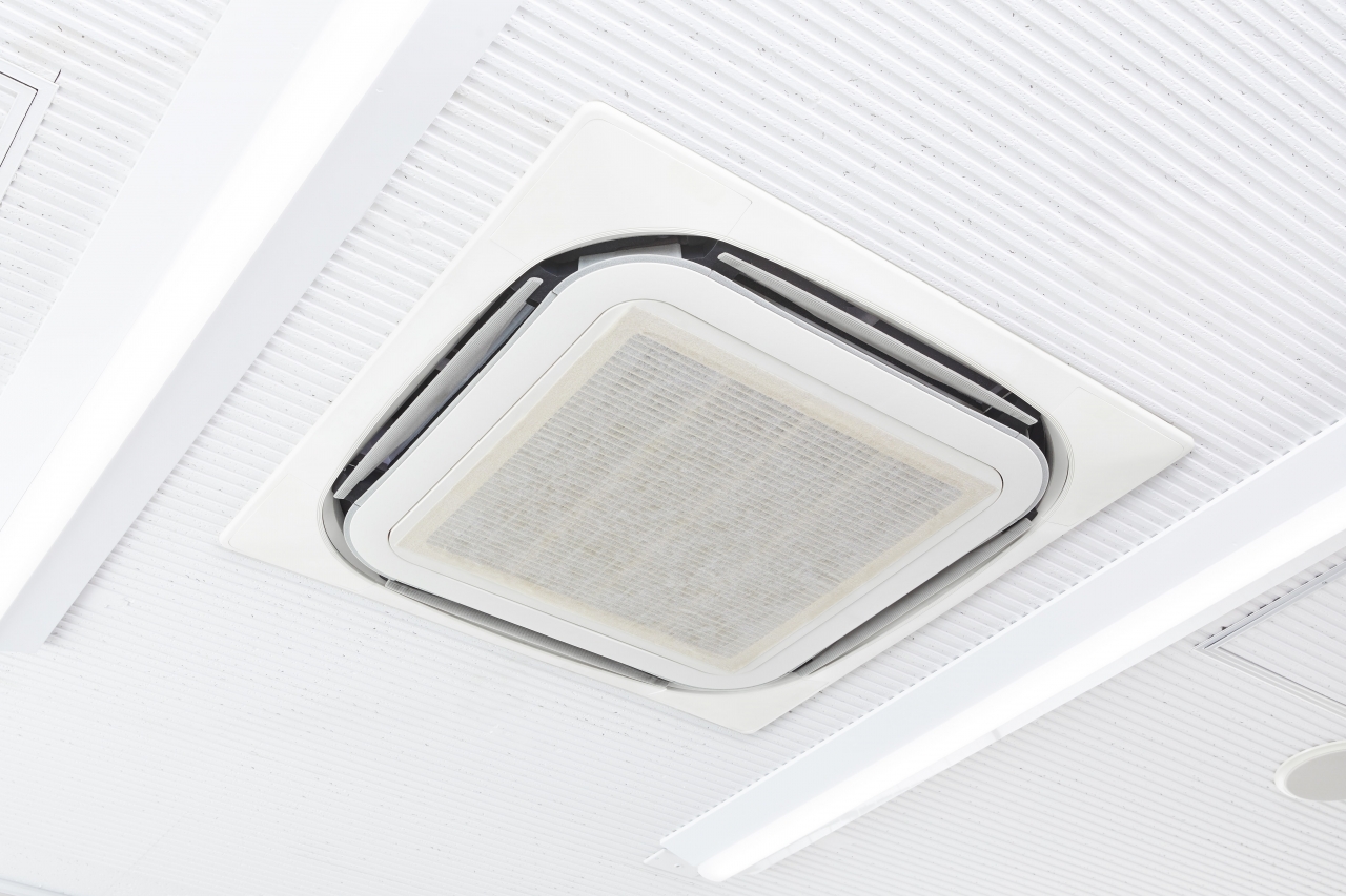 フィルター貼り付け完成